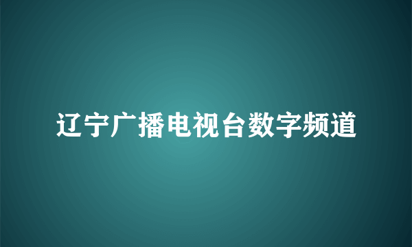 辽宁广播电视台数字频道