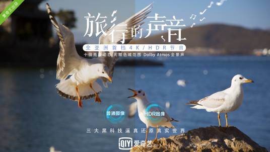 旅行的声音