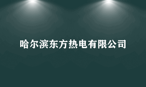 哈尔滨东方热电有限公司
