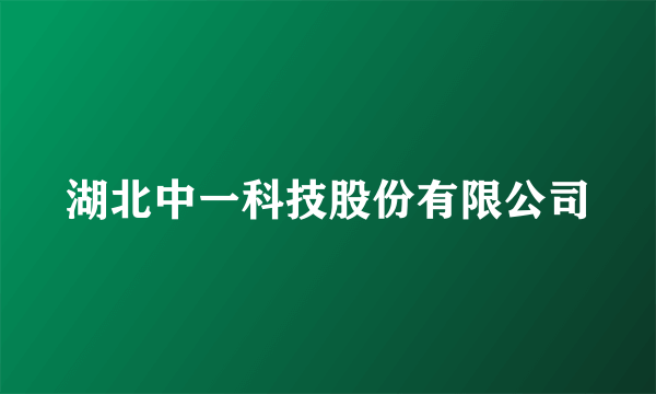 湖北中一科技股份有限公司