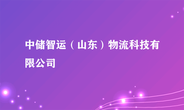 中储智运（山东）物流科技有限公司