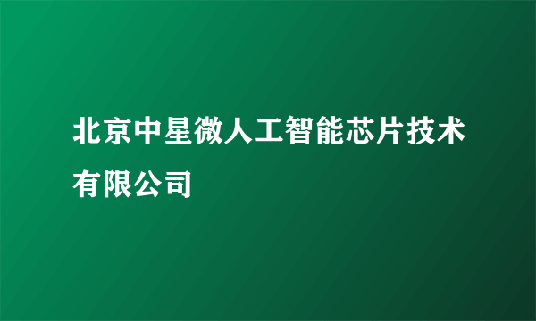 北京中星微人工智能芯片技术有限公司