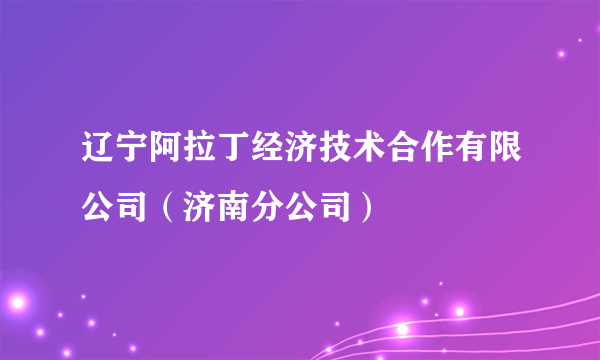 辽宁阿拉丁经济技术合作有限公司（济南分公司）