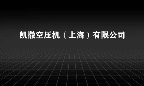 凯撒空压机（上海）有限公司