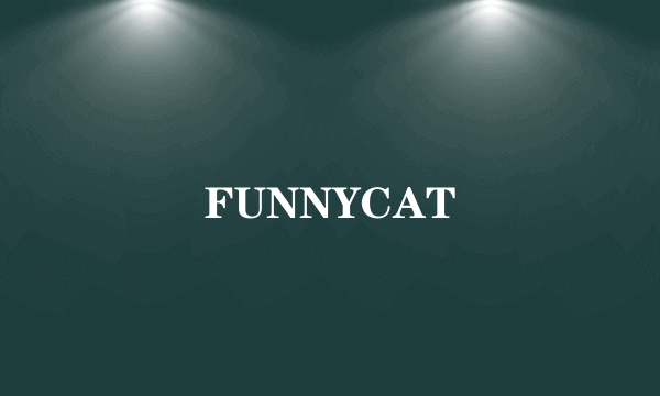 FUNNYCAT