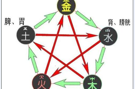 乙木