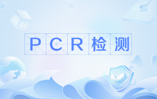 PCR检测