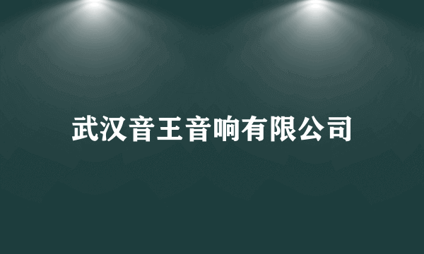 武汉音王音响有限公司