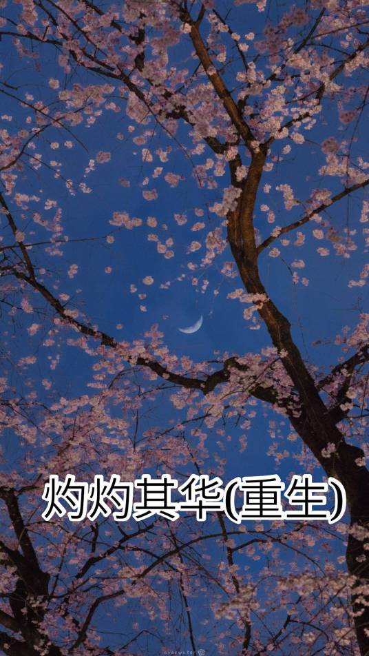 灼灼其华（重生）