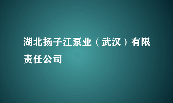 湖北扬子江泵业（武汉）有限责任公司
