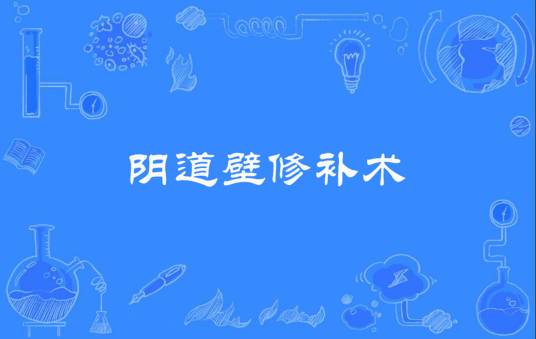 阴道壁修补术