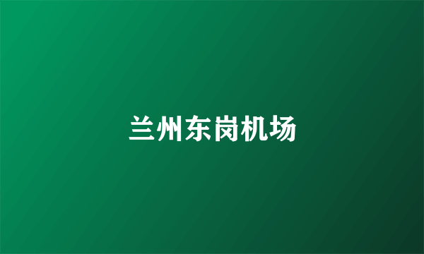 兰州东岗机场