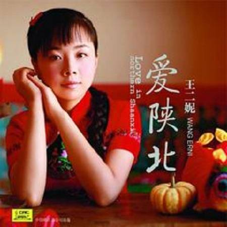 爱陕北（歌手王二妮民歌专辑）