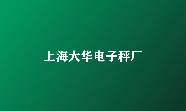 上海大华电子秤厂