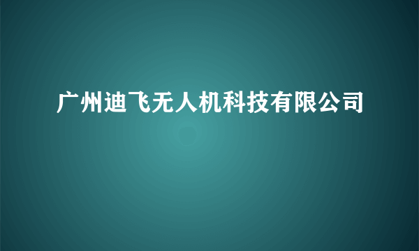 广州迪飞无人机科技有限公司