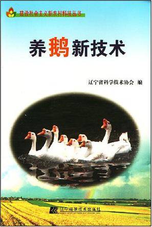养鹅新技术