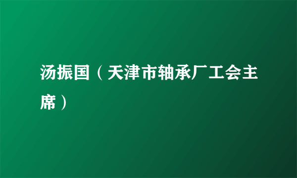 汤振国（天津市轴承厂工会主席）