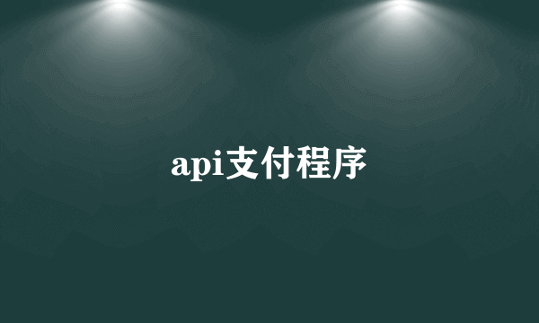 api支付程序