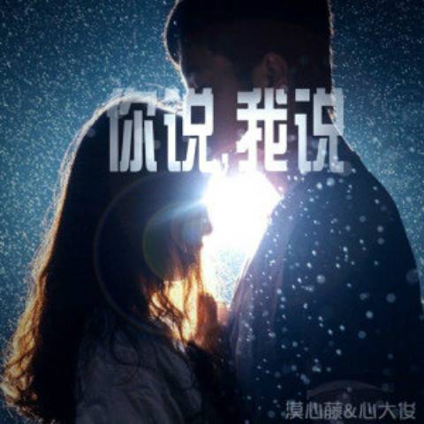 你说我说（漠心藤 、心大俊演唱歌曲）