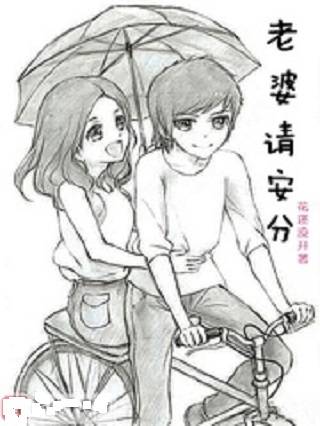 老婆请安分（花还没开创作的轻小说类网络小说）