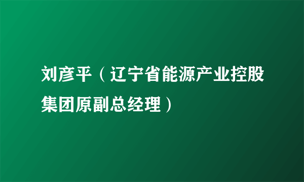 刘彦平（辽宁省能源产业控股集团原副总经理）