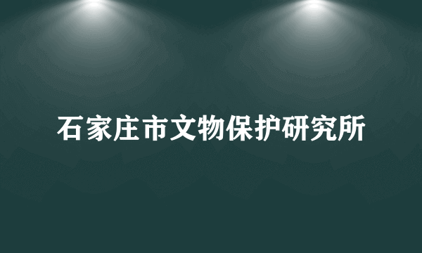 石家庄市文物保护研究所