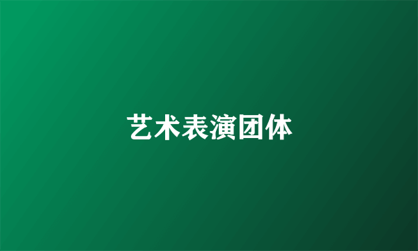 艺术表演团体