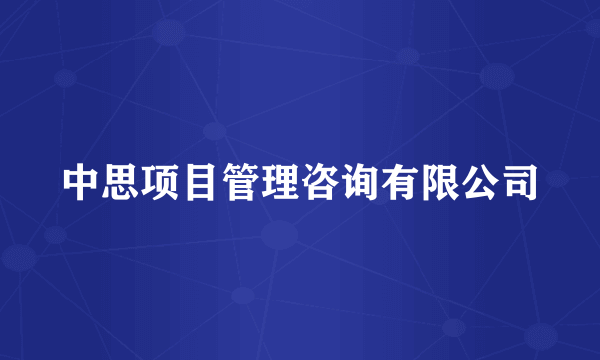 中思项目管理咨询有限公司