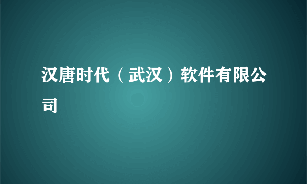 汉唐时代（武汉）软件有限公司