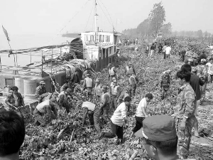1958年黄河洪水