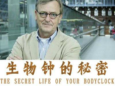 生物钟的秘密