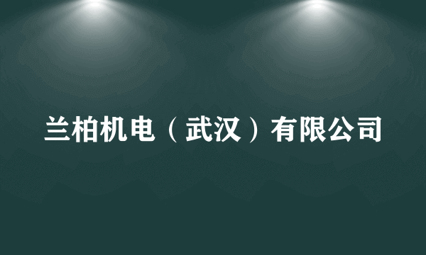 兰柏机电（武汉）有限公司