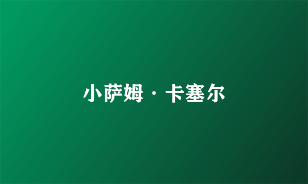 小萨姆·卡塞尔