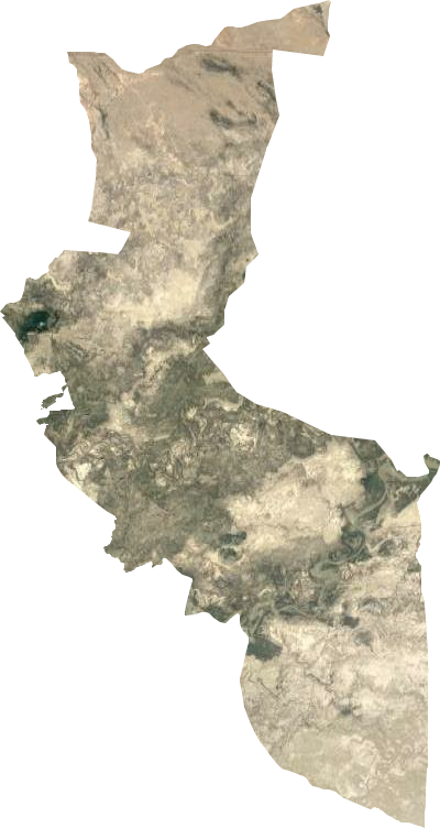 塔里木乡（新疆维吾尔自治区阿克苏地区库车市下辖乡）