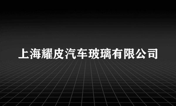 上海耀皮汽车玻璃有限公司