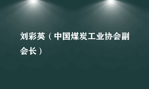 刘彩英（中国煤炭工业协会副会长）