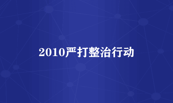 2010严打整治行动