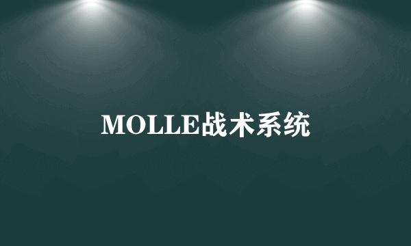 MOLLE战术系统