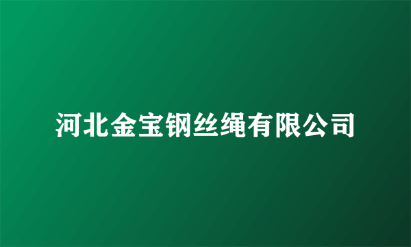 河北金宝钢丝绳有限公司