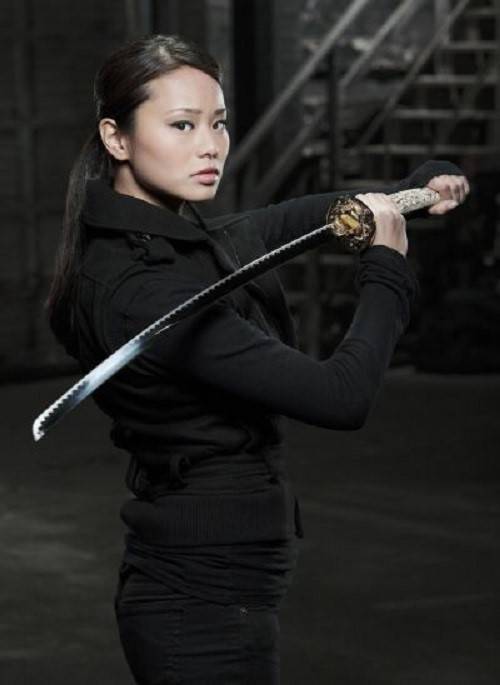 武士少女（美国2008年Matthew Tingey执导的迷你剧）