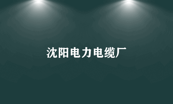 沈阳电力电缆厂