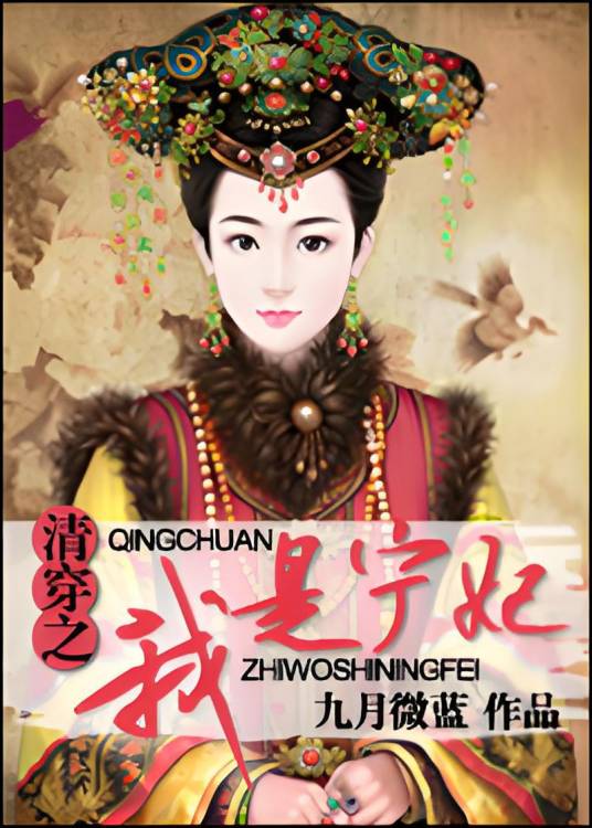 清穿之我是宁妃