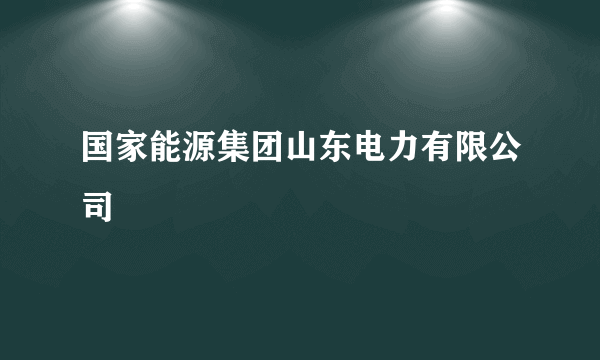 国家能源集团山东电力有限公司