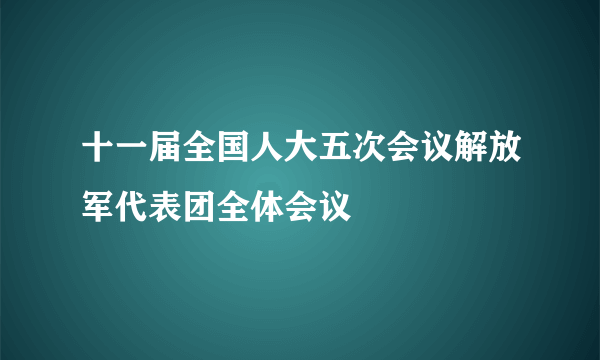 十一届全国人大五次会议解放军代表团全体会议