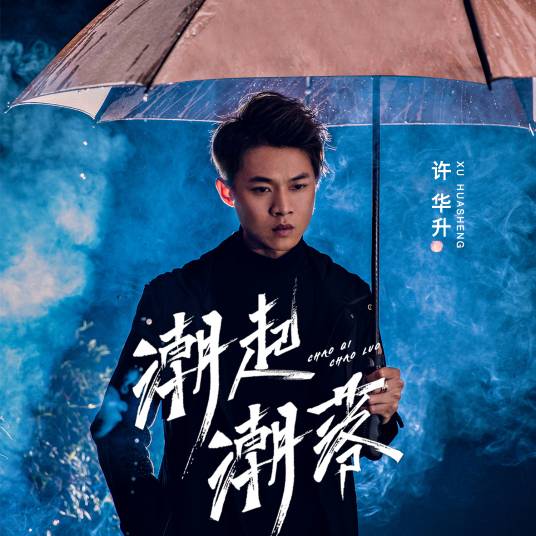 潮起潮落（许华升演唱歌曲）