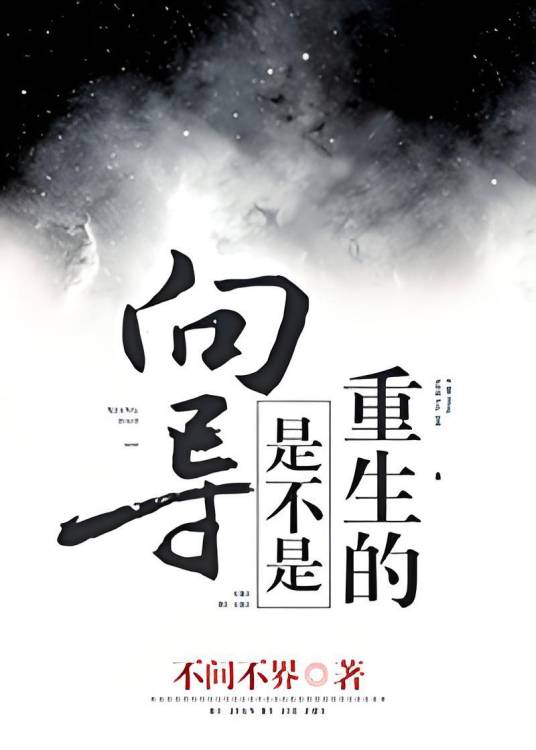向导是不是重生的（不间不界创作的爱情类网络小说）