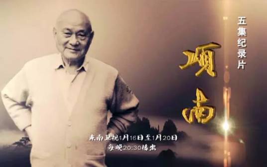 项南（纪录片）