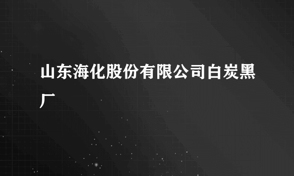 山东海化股份有限公司白炭黑厂