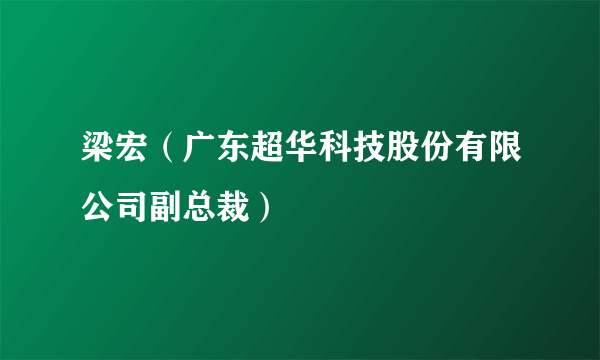 梁宏（广东超华科技股份有限公司副总裁）