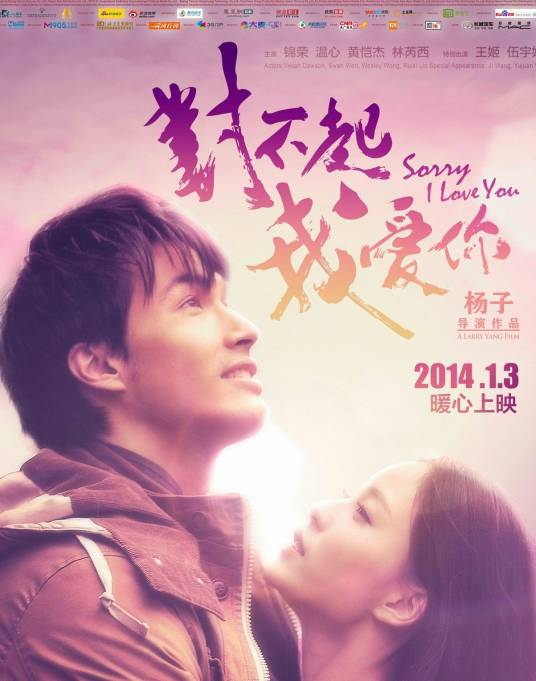 对不起，我爱你（2013年杨子执导的爱情电影）